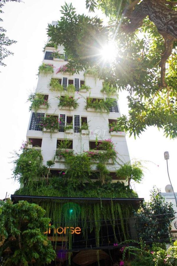 Seahorse Tropical Apartment 岘港 外观 照片